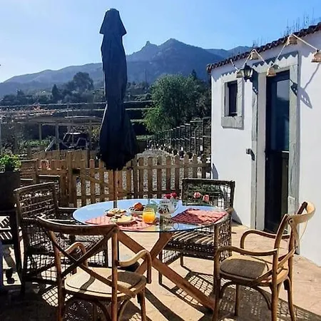 Vivienda Vacacional La Lavanda * וגה דה סן מטאו
