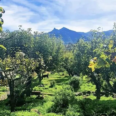 Vivienda Vacacional La Lavanda *