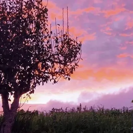בקתה Vivienda Vacacional La Lavanda *